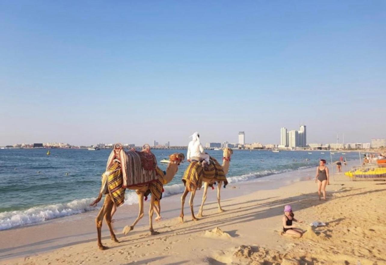 Seaview Beach Hostel Jbr - Walk To Beach - Gym - Pool - Metro Station ドバイ エクステリア 写真